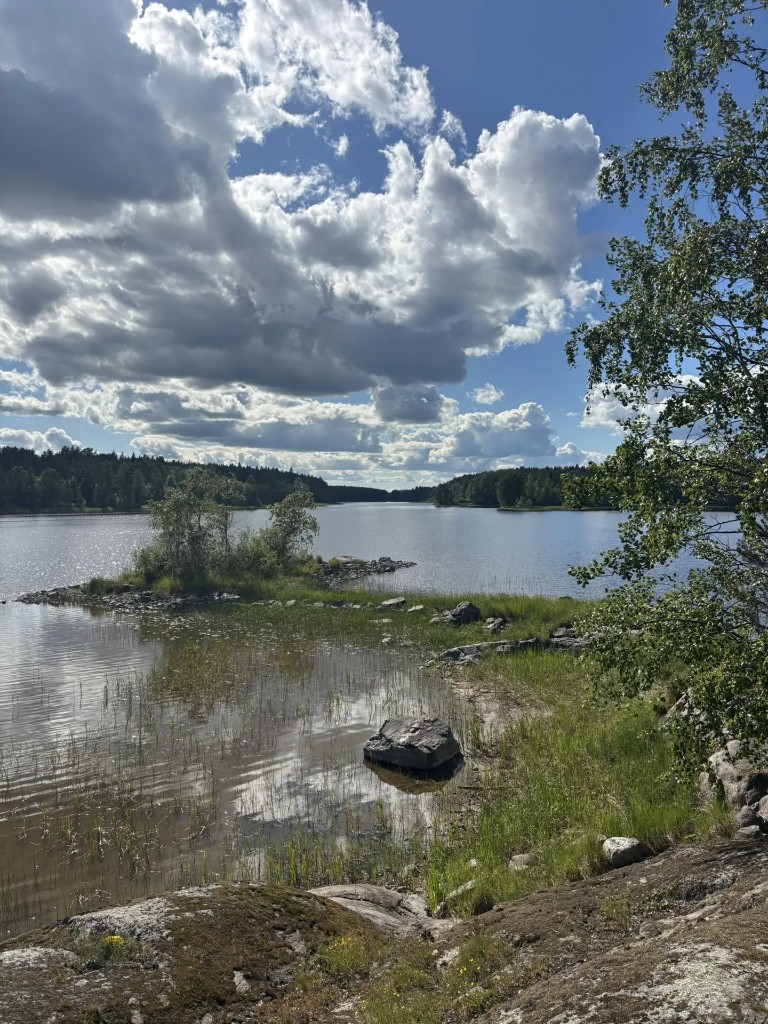 Шезлонги и качели